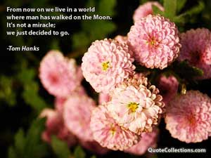 tom_hanks_quotes Quotes 4